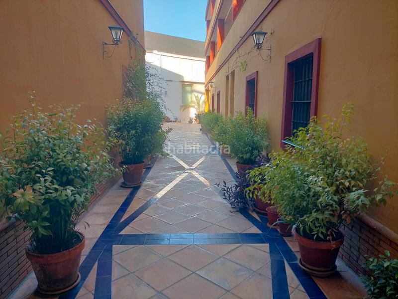 Foto ef752c69-ff54-4496-ac3c-8261e480709a. Estudio en calle calatrava 1 estupendo estudio en el centro , zona alameda de hercules en Sevilla