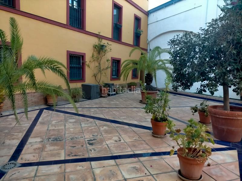 Foto f1bf4f96-bfef-4f3d-9baa-9a8250893136. Estudio en calle calatrava 1 estupendo estudio en el centro , zona alameda de hercules en Sevilla