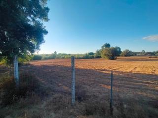 Finca rústica a N/a. Estupenda finca rustica en villamanrique de la condesa, sevilla