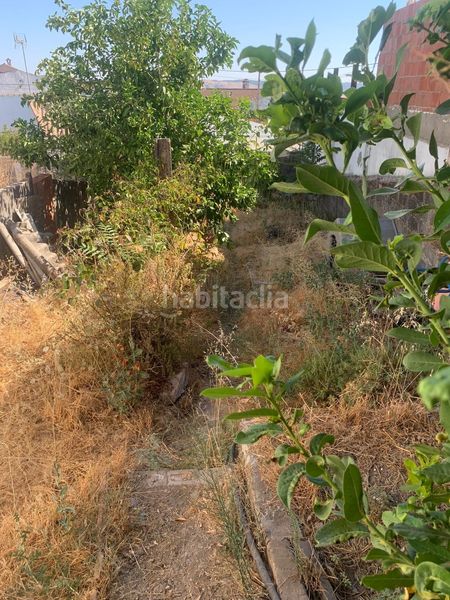Foto cc3c7935-8fff-49df-8188-219858949466. Casa en Obejo
