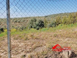 Finca rústica a Almodóvar del Río. Terreno en córdoba en cuevas bajas  no hipotecable