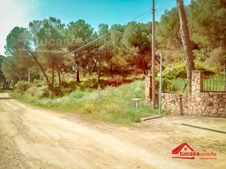 Finca rústica a Las Jaras. Terreno en las jaras  un rincón exclusivo en plena naturaleza