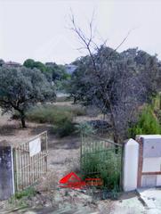 Terreno residenziale in Alcolea. Terreno en encinares de alcolea