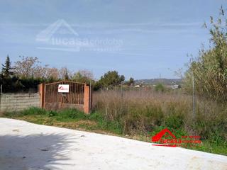 Finca rústica a Almodóvar del Río. Terreno en cuevas bajas no hipotecable  una oportunidad para cre