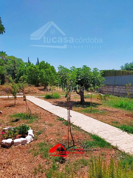 Foto 4a0ad7c2-00d7-485f-87f3-25505ede18c1. Masía casa con terrenono hipotecable en El Higuerón en Córdoba