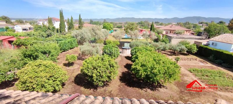 Foto b17be722-4b47-4019-9189-26e50845b479. Masía terreno con casa no hipotecable en la barquera en Córdoba