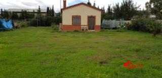 Masia a El Higuerón. Terreno con casa en nuevo higuerón no hipotecable