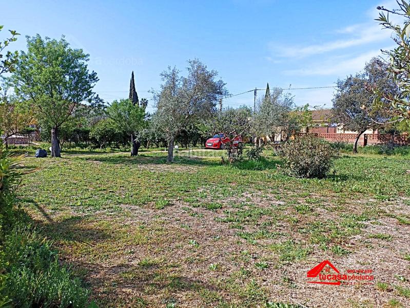 Foto c4d36e77-72a1-401e-847a-30bc07b26a7d. Casale con riscaldamento parcheggio piscina in Villarrubia Córdoba