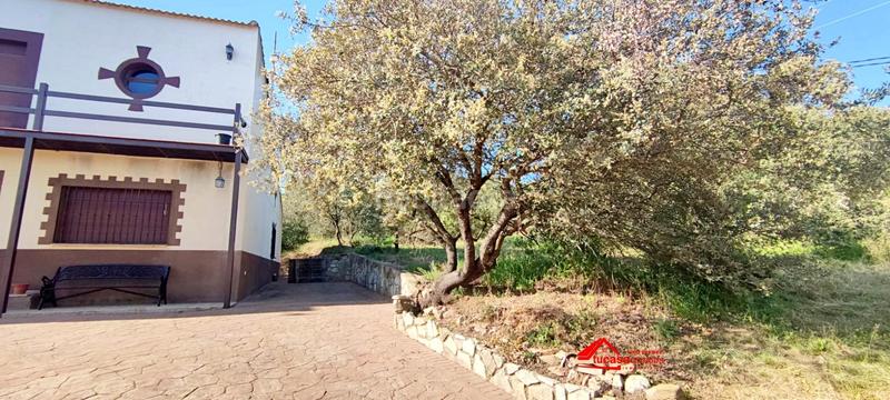 Foto 7b0f1205-4e09-4a3b-83b8-23890f69e01a. Masía casa con terreno no hipotecable en los arenales de 18.000m2 en Córdoba