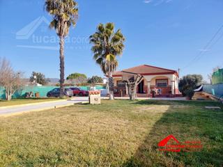 Masia a Villarrubia. Casa con terreno en venta en carretera palma del rio