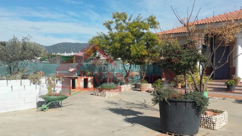 Foto 9eee9ec4-398b-4df8-88a2-c6c90dc184f3. Mas avec chauffage parking piscine dans Villarrubia Córdoba