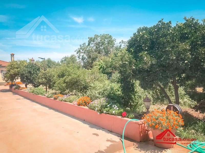 Foto 42369aae-a066-4e39-bdb8-ca86da34fd59. Casa espectacular casa con piscina y seguridad en villarrubia, tu nuevo hogar te espera! en Córdoba