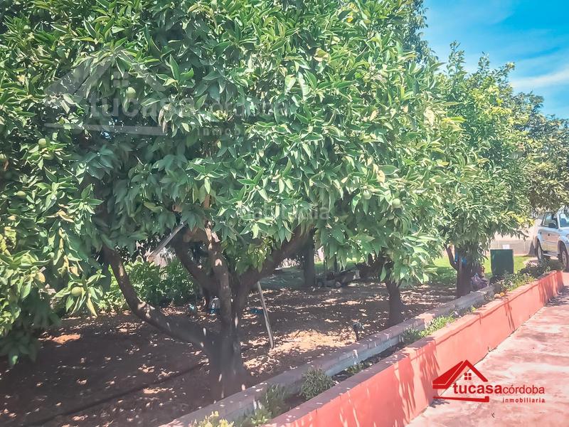 Foto e21030fa-59e1-4848-9edc-db0a314dca5c. Casa espectacular casa con piscina y seguridad en villarrubia, tu nuevo hogar te espera! en Córdoba