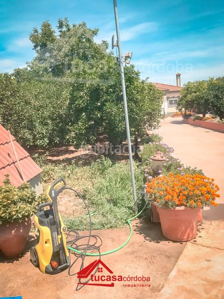 Foto eb48ca2c-b971-4494-b628-60e2e026811b. Casa espectacular casa con piscina y seguridad en villarrubia, tu nuevo hogar te espera! en Córdoba