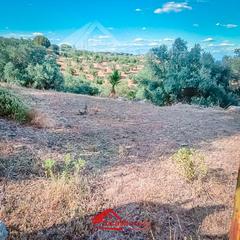 Propriété à El Higuerón. Oportunidad única! terreno rural con olivos en assuan, córdoba.