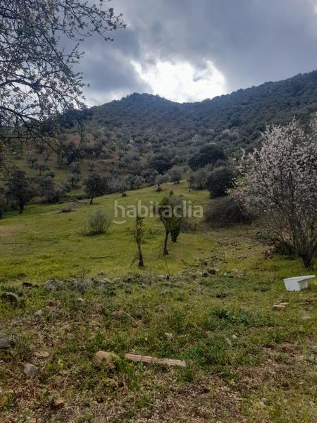 Foto 140e4bde-e985-40a7-ae15-2c63cda5fcb2. Masía finca rústica con olivar y almendros córdoba! en Obejo