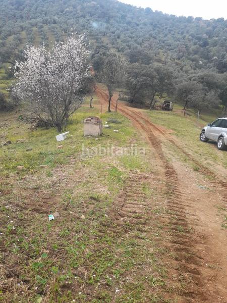 Foto 28a06667-58da-43ca-908d-3fec837e72cd. Masía finca rústica con olivar y almendros córdoba! en Obejo