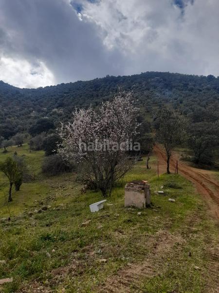 Foto 69653aba-10e8-49a9-b529-37c766b809c9. Masía finca rústica con olivar y almendros córdoba! en Obejo