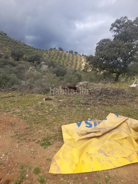 Foto 69de5076-db8e-4642-b098-152514b6d0a2. Masía finca rústica con olivar y almendros córdoba! en Obejo