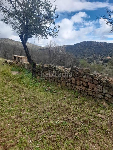 Foto ddd708c1-ce55-4600-b1a5-a10c8eccfe9e. Masía finca rústica con olivar y almendros córdoba! en Obejo