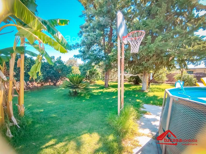 Foto 54fee8af-2d83-4ec0-8dc1-a2796ec923d7. Chalet espectacular casa hipotecable en urbanización el alamillo. Villarrubia en Córdoba