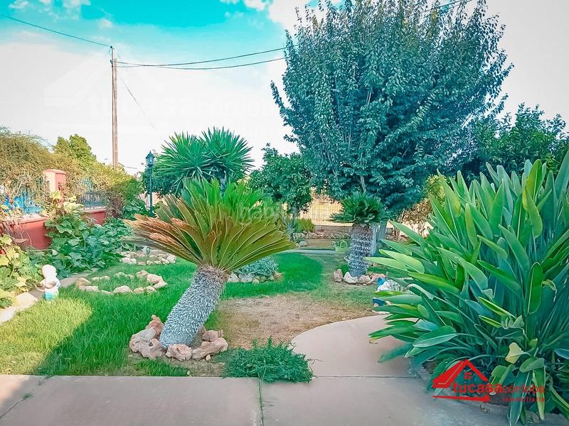 Foto 1eb90712-2546-4a77-88ed-f708594c5c45. Masía casa de campo zona higuerón. cortijo el alcaide en Córdoba