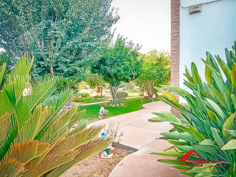 Foto 5b91d7c0-6e07-4ca4-8bd2-03ddcfb3a7ae. Masía casa de campo zona higuerón. cortijo el alcaide en Córdoba