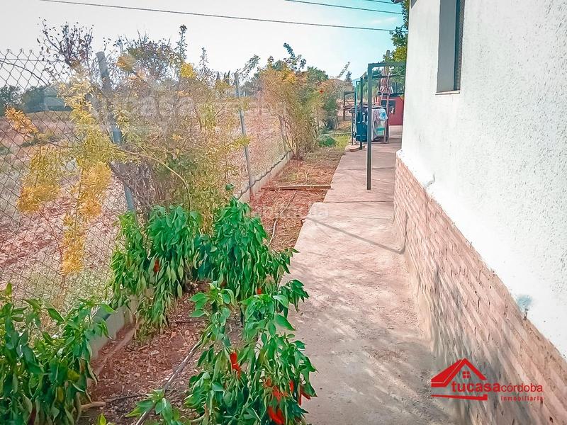 Foto 6659d14e-25cc-403e-9325-a9ad69f5fd2d. Masía casa de campo zona higuerón. cortijo el alcaide en Córdoba