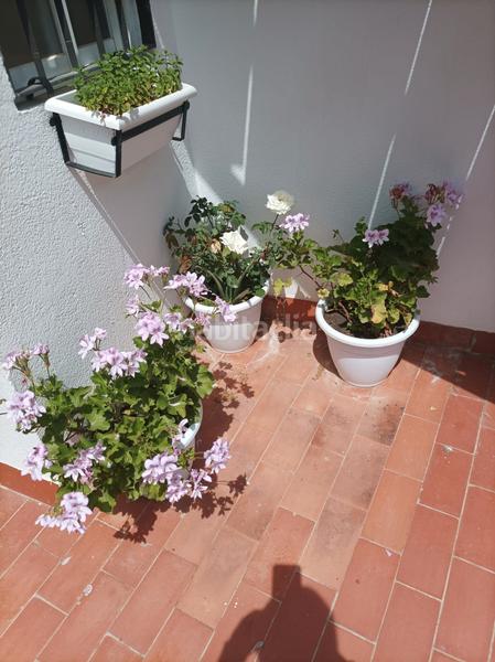 Foto 8e05b5a1-a0de-4d62-a6cb-d459e8846fce. Haus in El Brillante -El Naranjo - El Tablero Córdoba