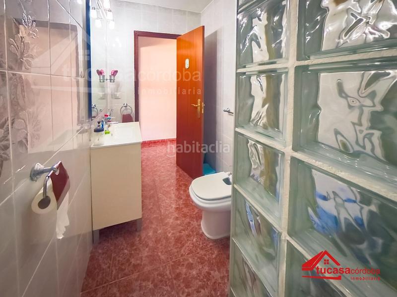 Foto ac7bdb16-f89a-4bf5-b83c-ac5581298be3. Pis a Santa Rosa - Valdeolleros Córdoba