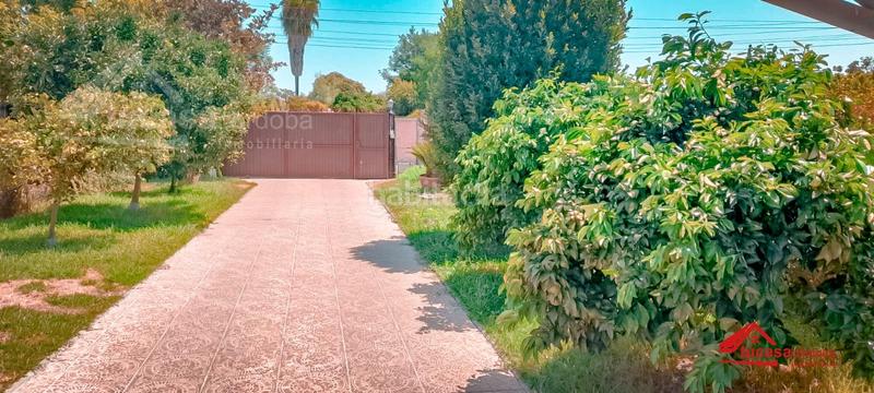 Foto 17ea41f3-4a88-43b5-b580-10ce70d10907. Bauernhof in Villarrubia Córdoba