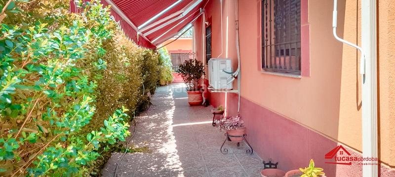 Foto 879777fc-b46a-4e1a-be37-221ec189326e. Bauernhof in Villarrubia Córdoba