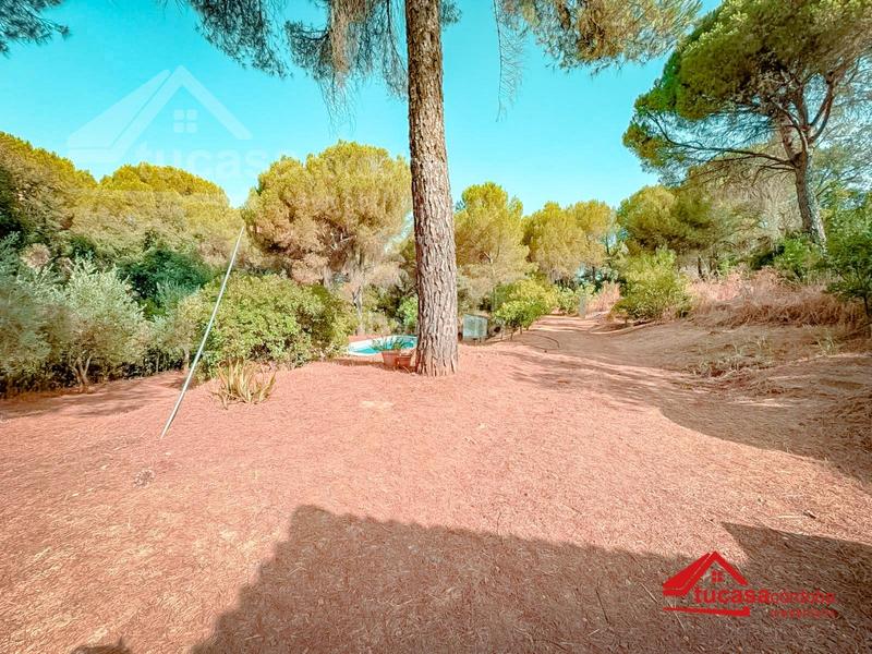 Foto 732316a7-9591-4df5-af23-5537c9865e3c. Masía casa con gran terreno en la sierra urbanización el jardinito en Córdoba