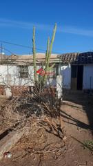 Terreny residencial a Villarrubia. Oportunidad única terreno urbano en veredon de los frailes