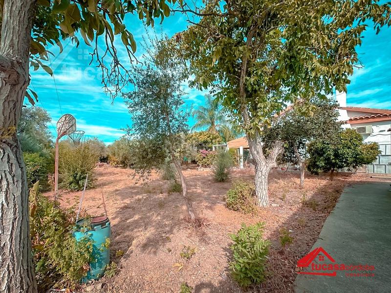 Foto 9cd0c35a-f3d1-4c7a-84ca-7cf0717f79f0. Terreno residencial terreno urbano e hipotecable!! en Villarrubia, en Córdoba