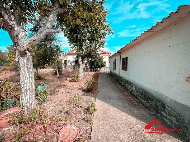 Foto 320127e6-7962-4bd4-8ce7-ddfb2dae96a0. Masía casa con terreno en Villarrubia, urbana e hipotecable!!!! en Córdoba