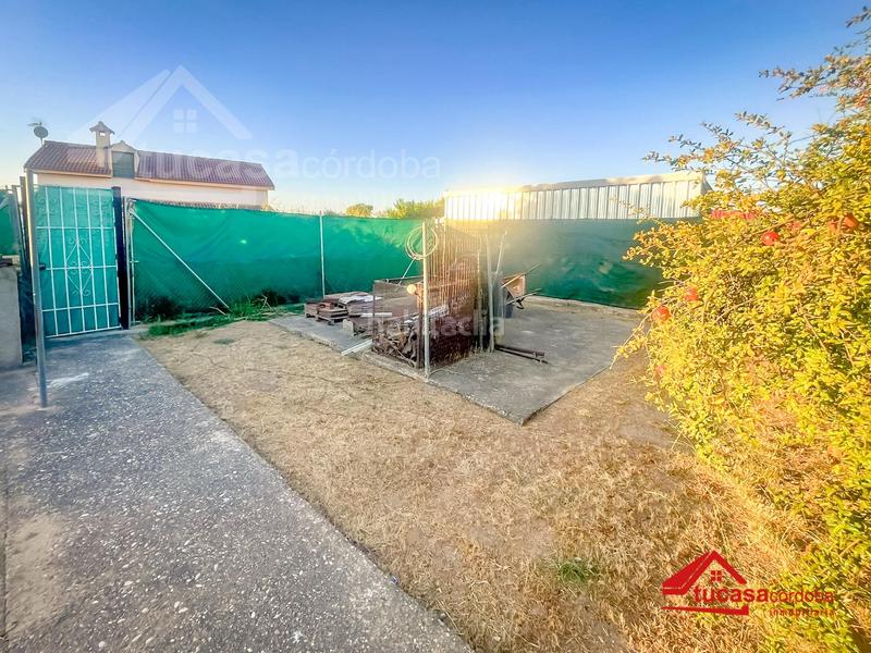 Foto 56b4a130-d064-43b5-956d-0ec848dd67ca. Casale con piscina in Alcolea Córdoba