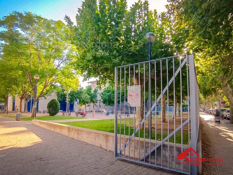 Foto 02c2fdb5-0bf6-4806-a8a1-10f5f3e0a5db. Pis a Santa Rosa - Valdeolleros Córdoba