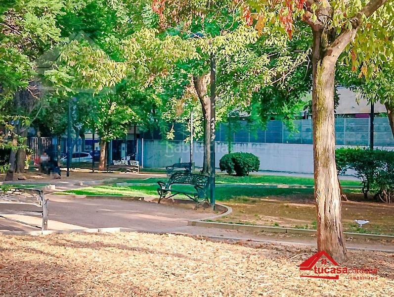 Foto 3255d642-e119-4b27-bc7e-e027b0161b83. Pis a Santa Rosa - Valdeolleros Córdoba