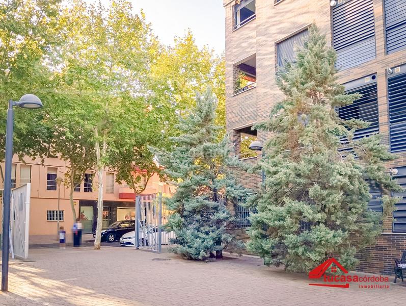 Foto 37721fa8-22be-47a5-911e-f1dfddc5423b. Pis a Santa Rosa - Valdeolleros Córdoba