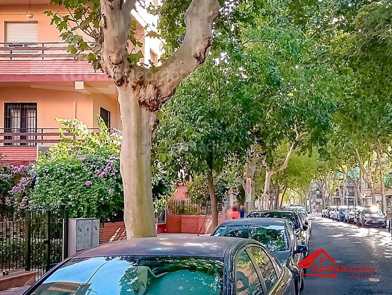 Foto 938efc16-5836-4ba9-86a6-7d12598c7941. Pis a Santa Rosa - Valdeolleros Córdoba