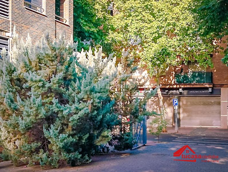 Foto a2f2aa70-69a1-4ccc-bf64-40eb240a6978. Pis a Santa Rosa - Valdeolleros Córdoba