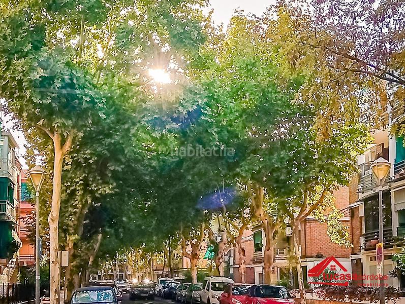 Foto a447586c-27a9-4281-a441-7d21a8551fe2. Pis a Santa Rosa - Valdeolleros Córdoba