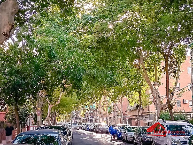 Foto d62e1f34-e6b7-44ca-b04b-91b895b62832. Pis a Santa Rosa - Valdeolleros Córdoba