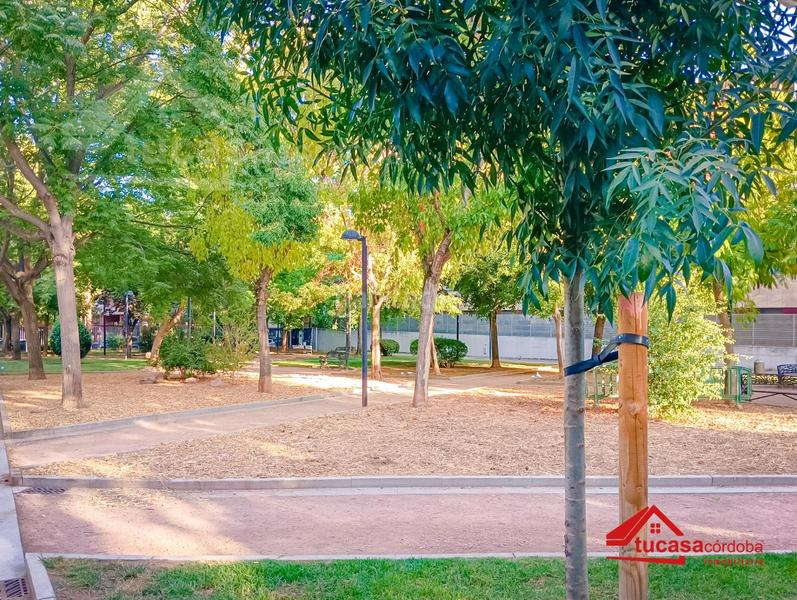 Foto eff727bd-a603-48fb-bf21-acb1b5e6f0ee. Pis a Santa Rosa - Valdeolleros Córdoba