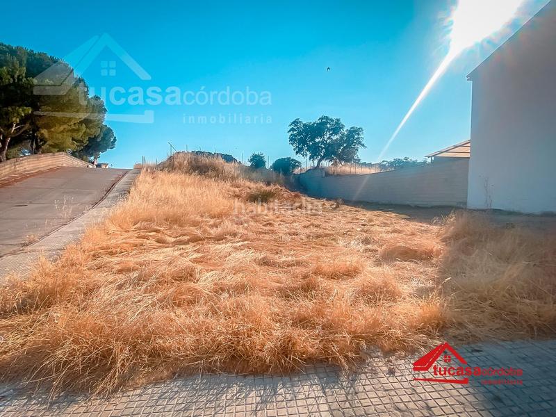 Foto 920246f5-6ecd-446f-84c6-d7b59c7a30fb. Wohngrundstück in Cortes-Huertas Madrid