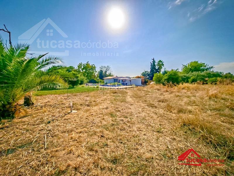 Foto 9b81b9fe-12ad-461f-88e7-5afdcf7e3ce0. Mas avec piscine dans El Higuerón Córdoba