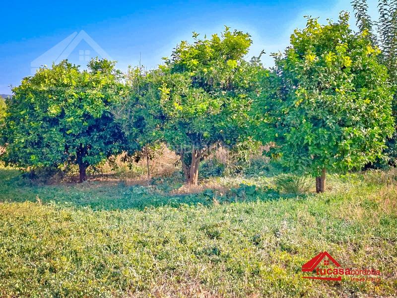 Foto 9c7c2481-c11e-478e-9da3-2c359b5bf1ac. Mas avec piscine dans El Higuerón Córdoba