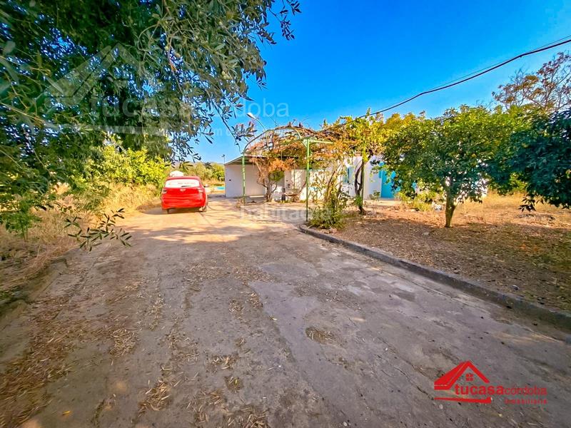 Foto fc3e8930-da03-4d7e-85c6-8becd206bb2f. Mas avec piscine dans El Higuerón Córdoba