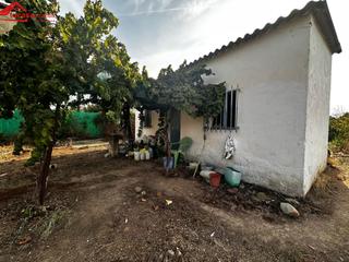 Rural plot in El Higuerón. Finca rústica en gorgoja no hipotecable  ideal para disfrutar de